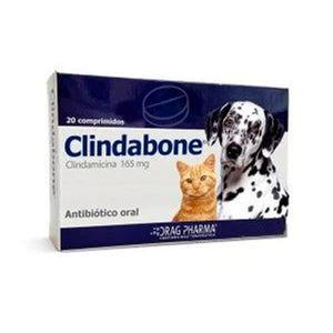 Clindabone