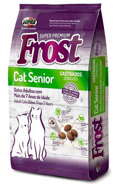 Frost Cat Senior